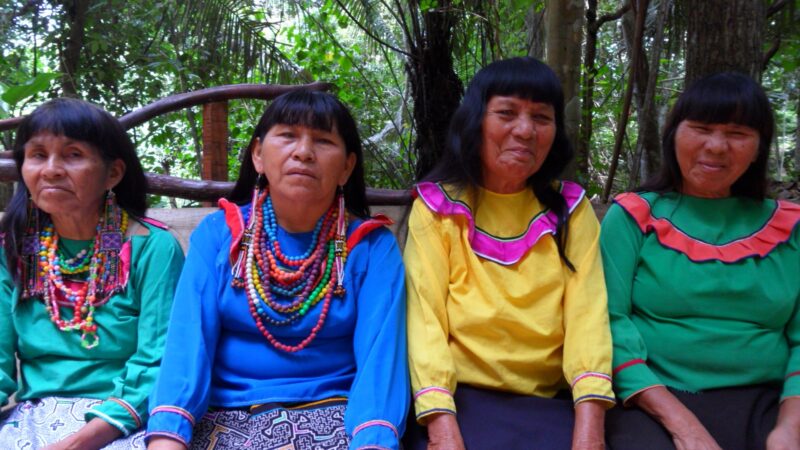 Shipibo Tribe: People and Cultures of the World | THE WORLD HOUR