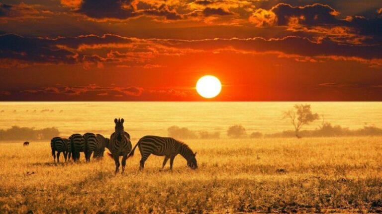 Africa Tourism