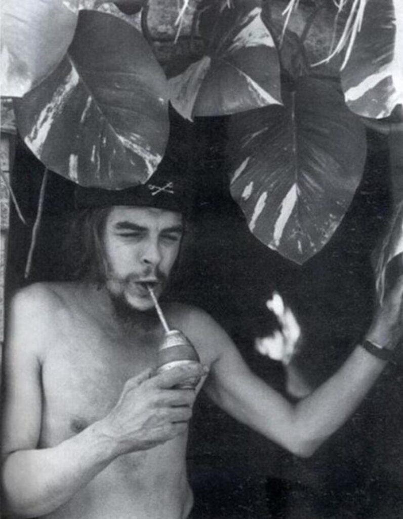 1958, Che Guevara enjoying a drink