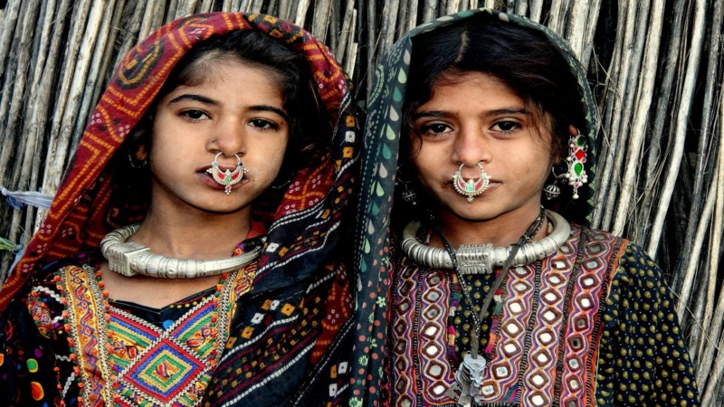 Gujarati Tribe