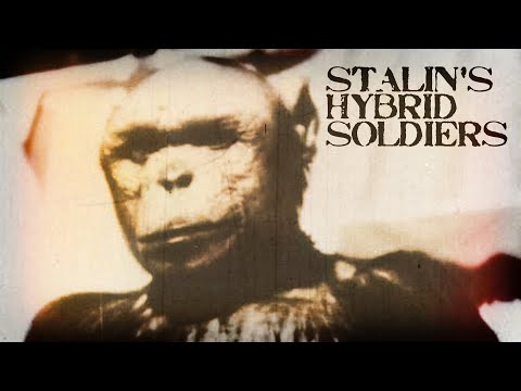 The Mystery of Stalin’s Super Soldier Experiments