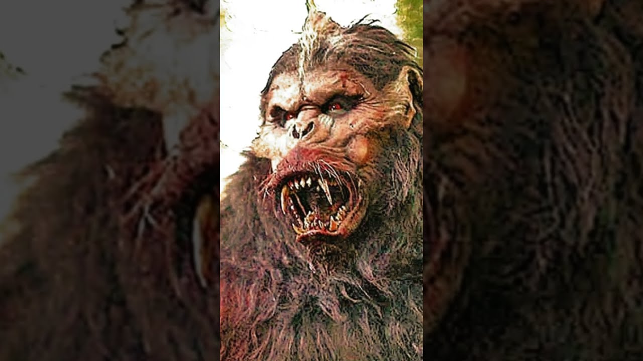 Wild Encounters: The Mysterious Rock Apes of the Vietnam War