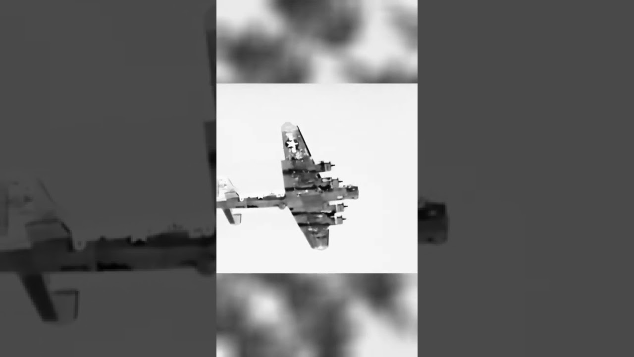 Queenie the B-17 Bomber: A Tale of Bravery and Tragedy in World War II