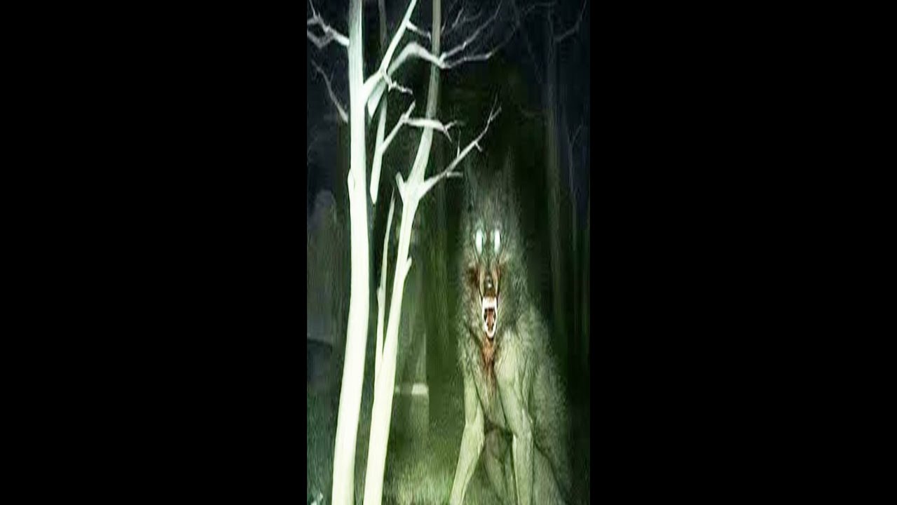 The Beast of Bastogne: The Legend of Werewolves in World War II