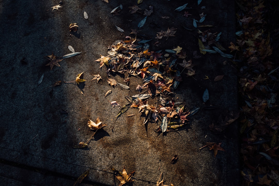 Exploring Roots and Complexities of WWI: How Local Tensions Fueled a Global Catastrophe