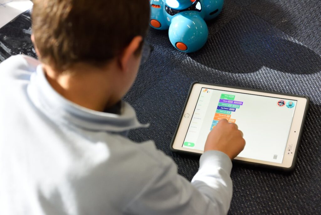 Online Education and E-Learning Platforms: A New Era of Learning and Accessibility