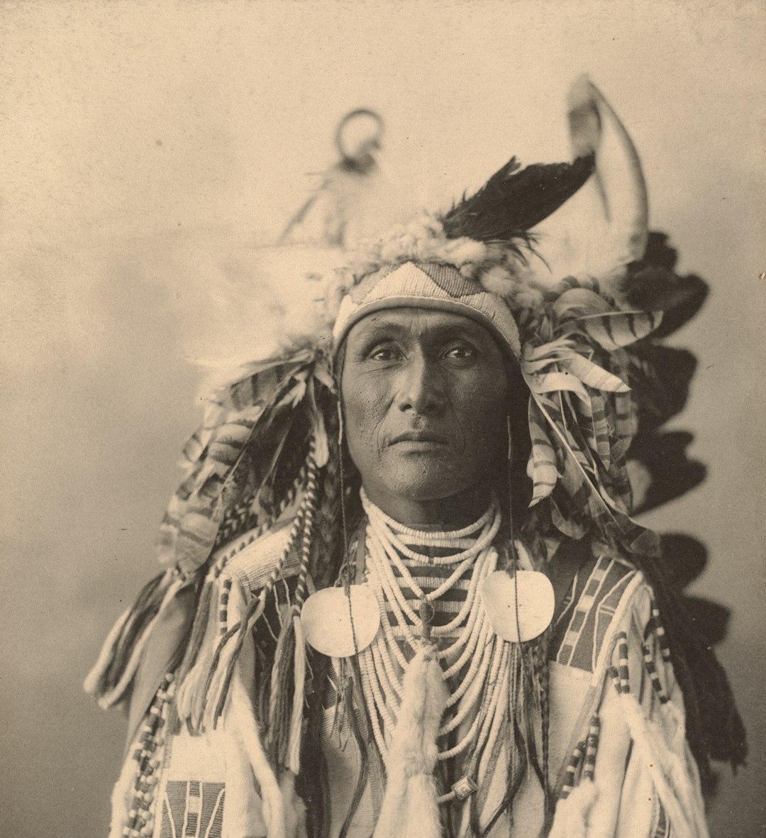 Diversity and Complexity of Indigenous Political Systems in North America Before Columbus