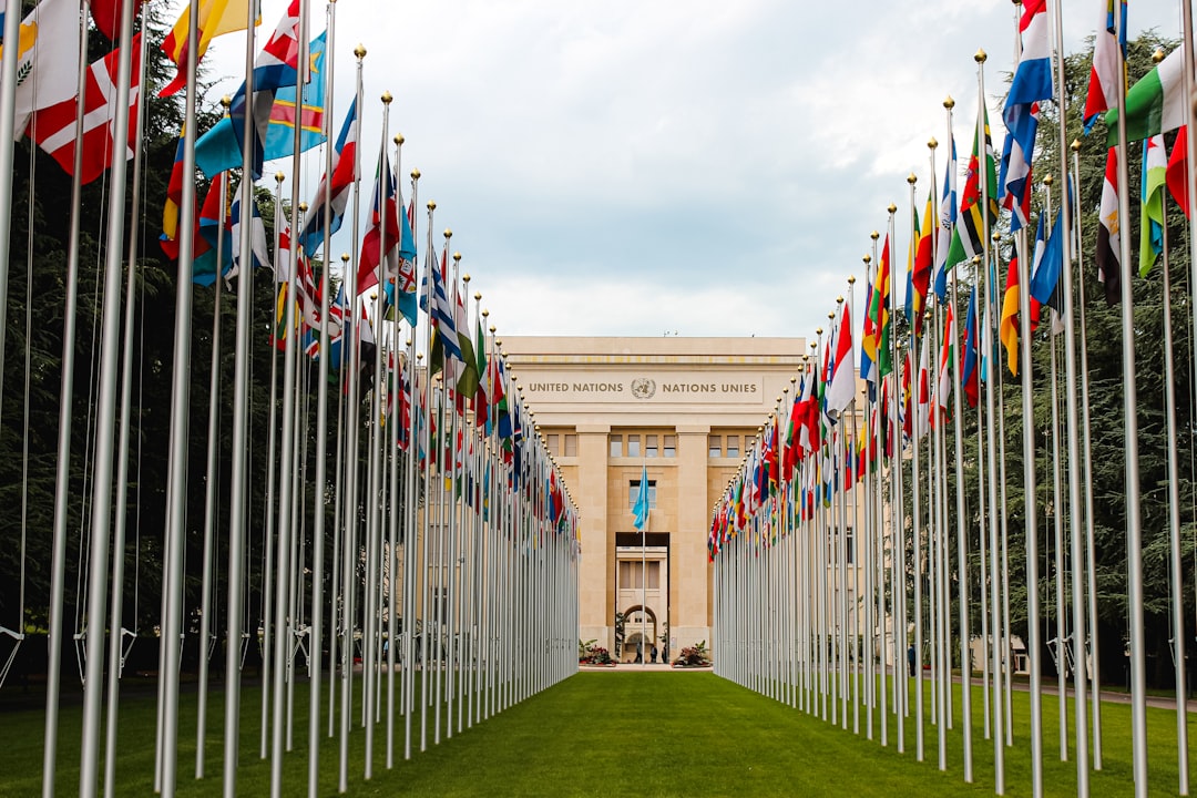 The United Nations: History, Achievements and Future Outlook