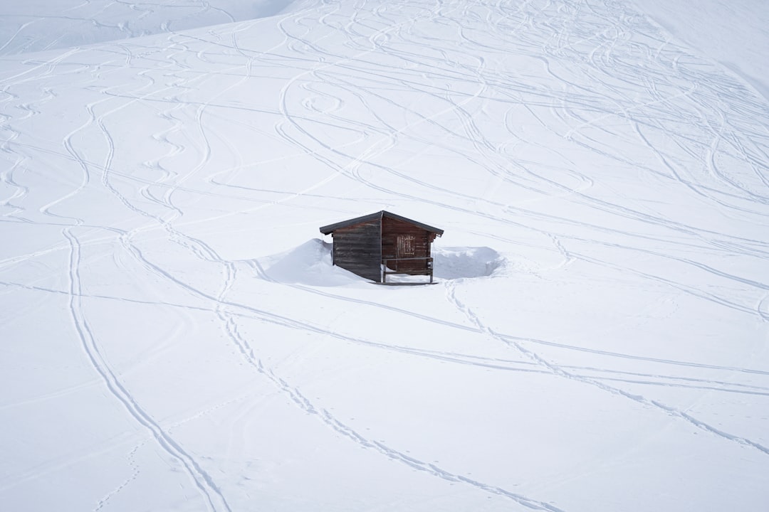 Frozen Treasures of the Alps: Uncovering Secrets of Early Humans and Natural History