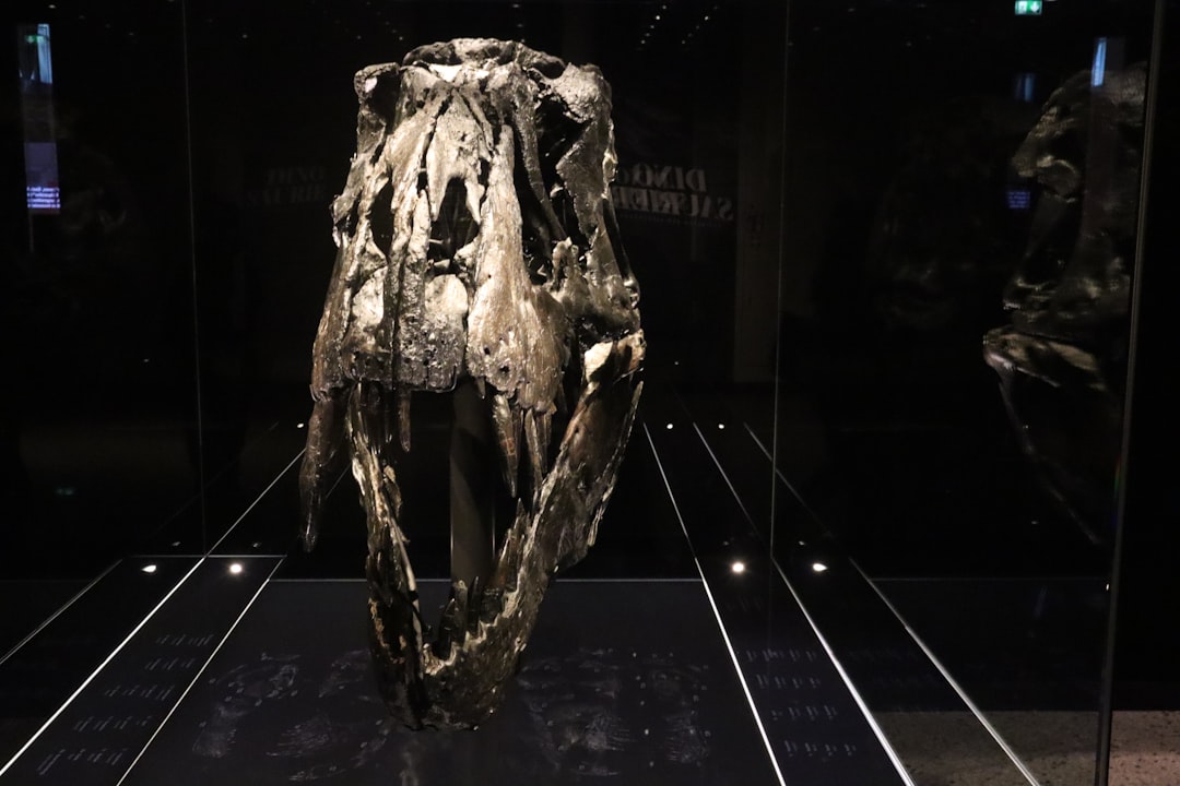 The World’s Most Notorious Artefact Thefts: Should They be Returned to Their Rightful owners?