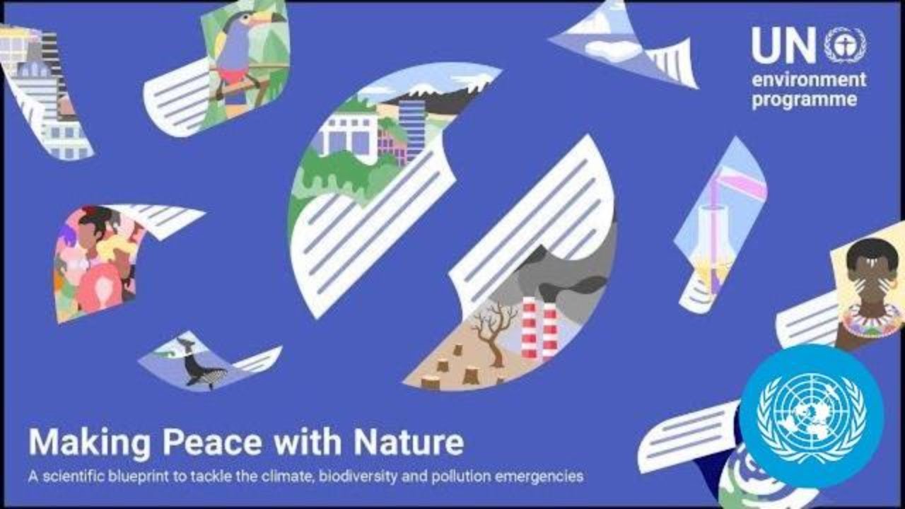 Earth’s Triple Environmental Emergencies: Climate Change, Biodiversity Loss, and Pollution