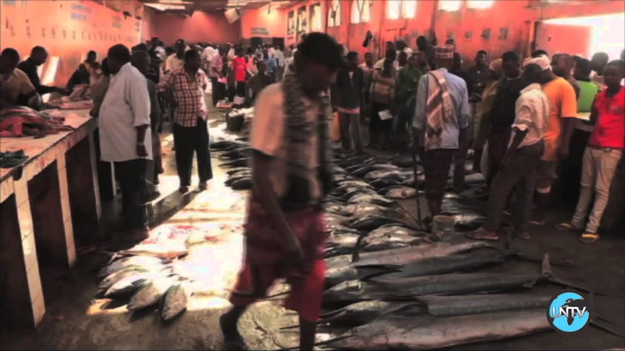 Revitalizing Somalia’s Fishing Industry: From Civil Conflict to Coastal Renaissance