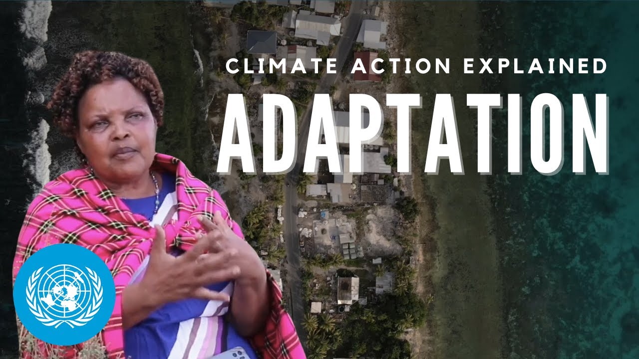 Adapting to Climate Change: Resilience and Innovation in Action