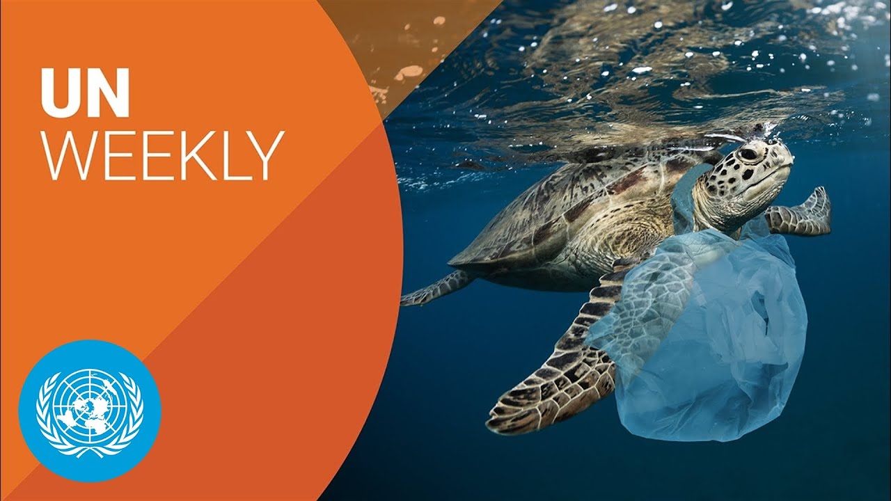 Battling the Climate Crisis: How the World is Coping with Natural Disasters and Plastic Pollution