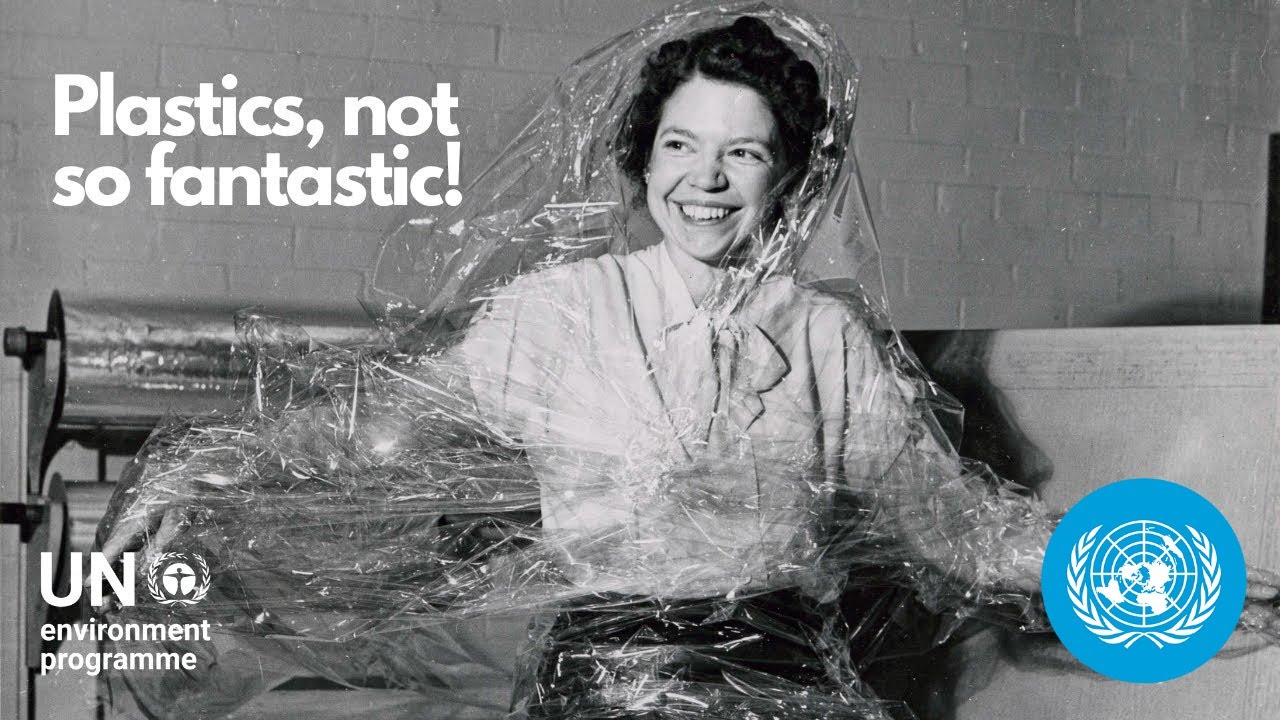 Tackling the Plastic Crisis: A Comprehensive Overview of Challenges and Solutions